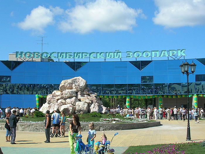 Файл:Новосибирский зоопарк (Сибирский неон).jpg